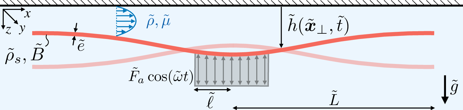 Schematic of a vibrated soft sheet near a wall
