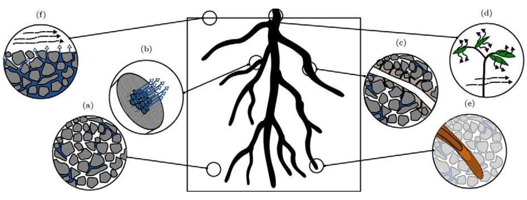 vadose zone processes